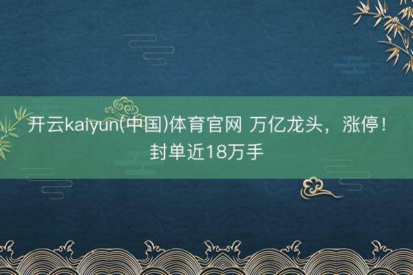 开云kaiyun(中国)体育官网 万亿龙头，涨停！封单近18万手