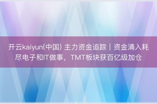 开云kaiyun(中国) 主力资金追踪｜资金涌入耗尽电子和IT做事，TMT板块获百亿级加仓