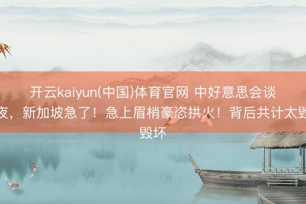 开云kaiyun(中国)体育官网 中好意思会谈前夜，新加坡急了！急上眉梢豪恣拱火！背后共计太毁坏