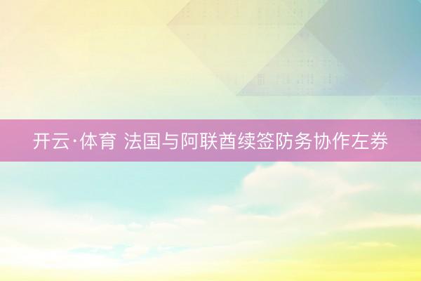 开云·体育 法国与阿联酋续签防务协作左券