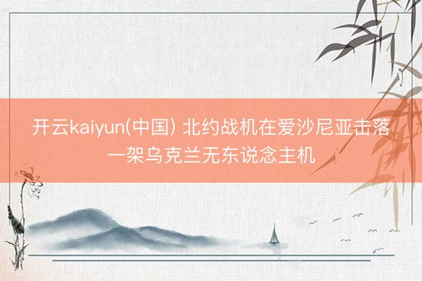 开云kaiyun(中国) 北约战机在爱沙尼亚击落一架乌克兰无东说念主机
