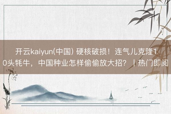 开云kaiyun(中国) 硬核破损！连气儿克隆10头牦牛，中国种业怎样偷偷放大招？丨热门即阅