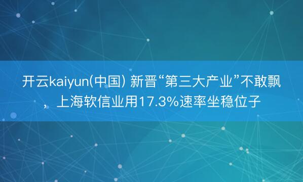 开云kaiyun(中国) 新晋“第三大产业”不敢飘，上海软信业用17.3%速率坐稳位子