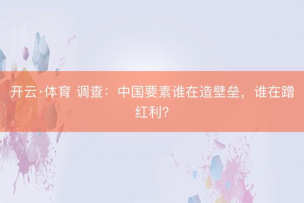 开云·体育 调查：中国要素谁在造壁垒，谁在蹭红利？